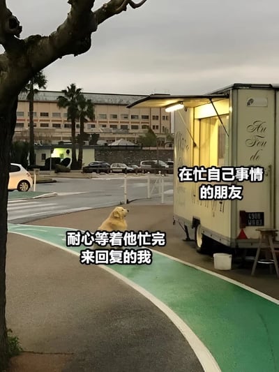 图片中一只金毛犬安静地坐在绿色自行车道上，旁边是一辆亮着灯的餐车。背景有建筑物、棕榈树和停放的车辆，天空呈阴天。图片通过文字“在忙自己事情的朋友”和“耐心等着他忙完来回复的我”，幽默地将狗狗等待的场景比喻为自己等待忙碌朋友回复消息的状态，画面温馨又带点无奈的幽默感。