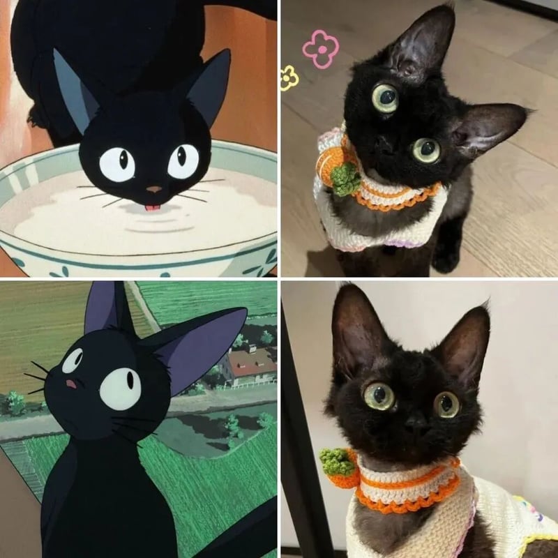 吉吉