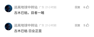这是一张社交媒体评论区的静态截图，截图中显示IP地址为广东的用户“逃离地球中转站”在21小时前发布了两条评论。第一条评论内容为“古木已枯，目者一睹”，获得了6个点赞；第二条评论内容为“古木已枯 日业正显”，获得了5个点赞。这两条评论属于拆字类文字游戏，“古木已枯”是对“枯”字的拆解表述，“目者一睹”是对“睹”字的拆解，“日业正显”是对“显”字的拆解，是用户创作的趣味文字内容。