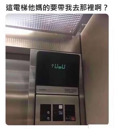 这是一张电梯内部的搞笑梗图，原本应显示楼层的电梯显示屏被修改为带有向上箭头的“UωU”可爱颜文字，图片上方配文“这电梯他妈的要带我去哪里啊？”，通过电梯显示的荒诞变化，营造出乘客面对异常电梯状态时困惑又好笑的氛围，利用颜文字和正常电梯显示的反差制造出荒诞的笑点。