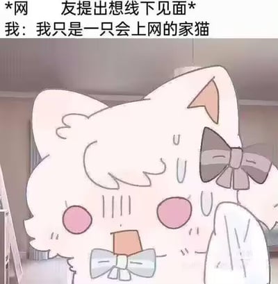 这是一张图文结合的原创梗图，上方文字先设定场景“*网友提出想线下见面*”，紧接着是“我：我只是一只会上网的家猫”；下方是一只白色的卡通猫形象，它戴着两个蝴蝶结，脸颊泛红，眼角挂着类似汗珠或泪珠的线条，一只爪子抬起，表情慌张又带着委屈，呈现出抗拒的姿态。图中通过拟人化的手法，将自己比喻成只会上网的家猫，用这种幽默又委婉的方式，表达了社恐人群在网络社交中，对线下见面邀约的抗拒心理，精准契合了很多网友不想打破线上社交舒适圈的心态，内容直白没有双关、谐音梗等隐藏含义。