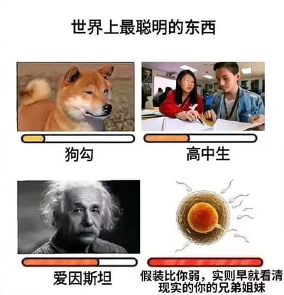 这张图片以四格拼贴的形式恶搞“世界上最聪明的东西”，分别是狗勾（网络梗柴犬）、高中生、爱因斯坦和精子。每个对象配有一个“聪明度”进度条，精子那一格用幽默文字强调精子在“竞争”中展现了极致的聪明，暗含双关、夸张和自嘲意味。整体透露讽刺调侃气质。