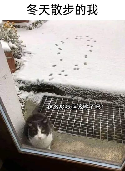 这是一张充满趣味的冬日梗图，顶部配文“冬天散步的我”点明主题，画面里的雪地中只有一串不长的猫爪印，一只黑白猫蹲在房屋门口，下方配文“这么多步应该够了吧？”，用猫咪的行为拟人化地调侃了很多人在冬天的慵懒心态——不想出门运动，仅仅走了几步就觉得完成了散步任务，精准戳中冬日里人们不想动的心理，十分搞笑。