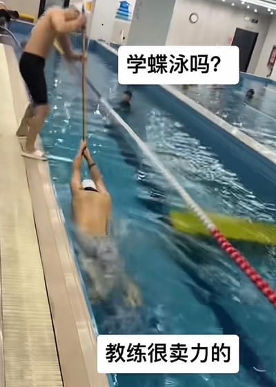 图片展示了一个室内游泳池场景，一名教练站在泳池边缘，手持一根长杆伸向水中；另一名学员戴着泳帽，在水中双手紧握长杆，身体呈蝶泳预备姿势。画面上方有文字气泡“学蝶泳吗？”，下方有文字气泡“教练很卖力的”，通过幽默的文字搭配教练认真辅助的场景，营造出轻松搞笑的氛围，展现了游泳教学中教练的投入。