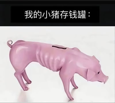 图片上方有黑色背景白色文字“我的小猪存钱罐：”，下方是一个粉色的小猪存钱罐。这个存钱罐造型独特，身体极度消瘦，肋骨清晰可见，与传统圆润饱满的小猪存钱罐形象形成强烈反差，幽默地暗示了存钱罐内空空如也的状态，让人会心一笑。