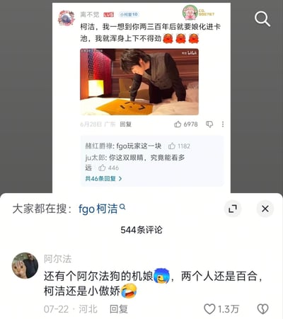 这是一张B站评论区的截图，上方为用户“离不觉”发布的评论，附带柯洁俯身趴在床上看围棋棋盘的实拍照片，评论内容调侃称想到柯洁两三百年后会被娘化加入手游《FGO》的卡池就浑身不舒服，搭配三个愤怒表情，该评论获6978个赞，下方有两条高赞回复，分别提及“fgo玩家这一块”、调侃“你这双眼睛，究竟能看多远”；截图下方是另一位用户“阿尔法”发布的高赞评论，补充脑洞称还有阿尔法狗的机娘设定，二者为百合CP，柯洁的人设还是小傲娇，搭配哭笑表情，该评论获1.3万个赞；截图底部显示相关搜索关键词为“fgo 柯洁”，该条内容下总共有544条评论。