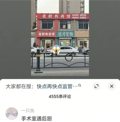 整张图是中文社交平台的内容截图，上半部分是城市街景实拍：沿街的两家相邻商铺，左边是上下两层都挂着红色招牌的“老街狗肉馆”，经营狗肉类餐食，右边是蓝绿色招牌的“拾月宠物”店，提供宠物相关服务，两种业务存在强烈对立属性的店铺紧挨在一起，画面中间还添加了一个瞪大眼睛张嘴的惊讶emoji贴纸，强化这种离谱的观感；下半部分是该内容的互动区域，显示平台关联搜索提示为“快点再快点监管”，该内容共有4555条评论，热门第一条评论来自用户“一只鱼”，内容为“手术室通后厨”，用戏谑夸张的调侃形容两家店相邻的荒诞感，暗指宠物店的宠物有可能直接流向隔壁狗肉馆成为食材，吐槽十分犀利。