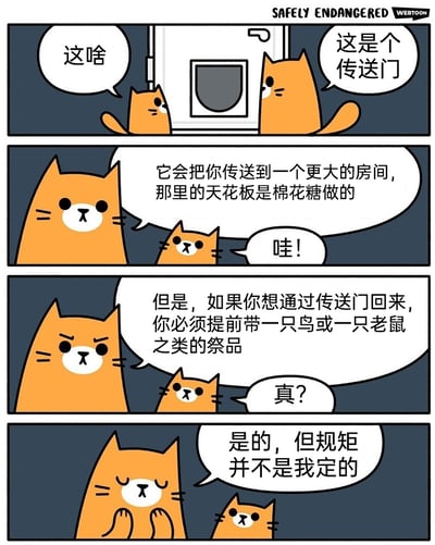 这是一则四格搞笑卡通漫画，描绘了两只橘色猫咪的趣味互动。第一格中小猫好奇地指着家里的猫门询问，大猫谎称这是传送门；第二格大猫描述传送门通向天花板由棉花糖做成的大房间，小猫兴奋地发出惊叹；第三格大猫补充返回的条件是要带回鸟或老鼠作为“祭品”，小猫露出疑惑的神情；第四格大猫摊手表示规矩并非自己定下，小猫则露出惊讶的表情。漫画以拟人化的方式，将猫咪外出捕猎后回家的天性，包装成“通过传送门返回需要祭品”的脑洞设定，用贴合猫咪行为习惯的内容制造出幽默效果，充满动物日常的趣味感。