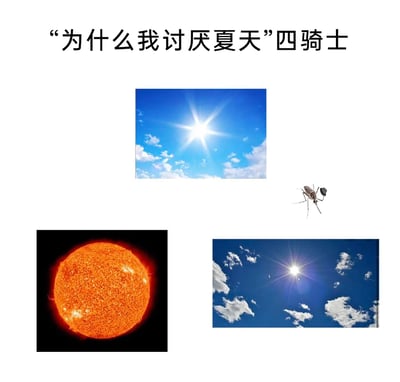 暂无描述