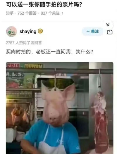这是知乎平台上的一则用户回答，问题为“可以送一张你随手拍的照片吗？”，用户shaying分享了自己在肉店买肉时随手拍摄的照片。照片中，悬挂的猪头刚好与下方穿蓝色衣服、戴白色围裙的肉店老板的身体完美重合，形成了老板长着猪头的滑稽视觉错位效果。拍摄者因为这个巧合忍不住发笑，肉店老板则疑惑地询问他笑什么，这个充满趣味的偶然画面让该回答获得了2787个赞同，引发网友的趣味共鸣。