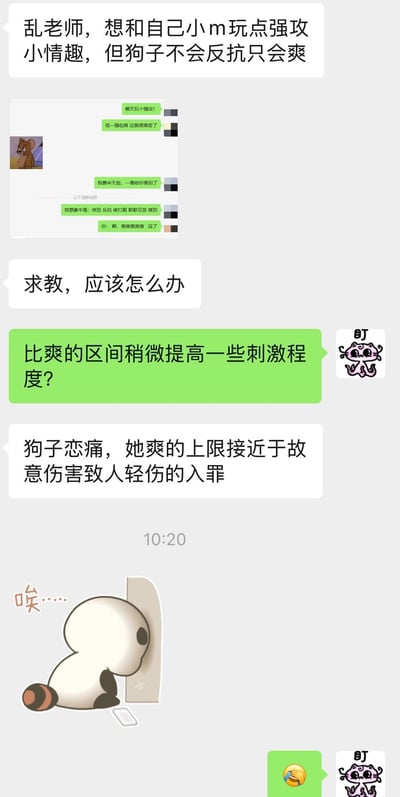 这是一张聊天记录截图，内容是关于情侣之间情趣角色扮演的求助对话。用户想和伴侣玩强攻小情趣，但对方（被称为“狗子”）不会反抗只会感到爽，于是向“乱老师”求助。乱老师建议提高刺激程度，但用户表示伴侣“恋痛”，爽的上限接近故意伤害致人轻伤的入罪标准，对话充满幽默和夸张的元素。