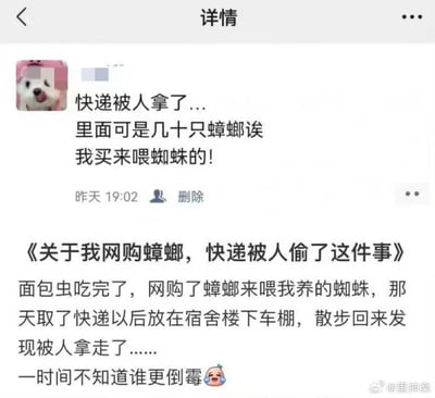 社交媒体截图，展示了一位用户的帖子内容：其装有几十只蟑螂（用于喂养宠物蜘蛛）的快递被人误拿，用户无奈吐槽“一时间不知道谁更倒霉”。帖子包含用户头像（狗的照片）、发布时间（昨天19:02）及详细事件描述，整体充满黑色幽默。