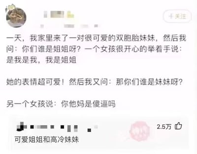 这是一张社交媒体平台的段子截图，内容为博主分享家中到访的一对双胞胎姐妹的互动趣事：博主先询问双胞胎姐妹谁是姐姐，其中一个女孩开心地举手回应自己是姐姐，博主紧接着又问谁是妹妹，另一个女孩直接用爆粗口的方式吐槽博主的问题，评论区用“可爱姐姐和高冷妹妹”总结了两人的强烈性格反差，整个段子靠这种前后的性格反差制造出荒诞搞笑的效果，该内容获得了2.5万的点赞量。