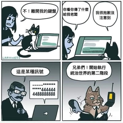 四格漫画描绘了一个搞笑故事：女人试图阻止猫咪坐在键盘上，但猫咪已经发送了一串神秘数字给她的老板。老板发现这串数字是某种信号，而另一只猫咪正通过对讲机宣布开始执行统治世界的第二阶段。