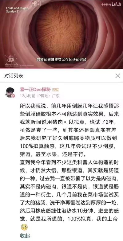 这张图为上下拼接的图文内容：上方是B站UP主「小李肺刀」的人体构造科普视频截图，展示了阴道皱襞的内部结构，配有字幕「阴道的皱襞还可以在分娩的时候」；下方是B站用户「易一正Dee探秘」的评论，该用户分享了自己多年来尝试用倒膜硅胶、猪肉、水果等材料模拟私密部位触感，均无法达到拟真效果，直到将处理后的猪肠作为材料，才获得了他认为100%拟真的体验的奇葩经历。评论中用户使用了谐音梗，将「阴道」写作「银道」。