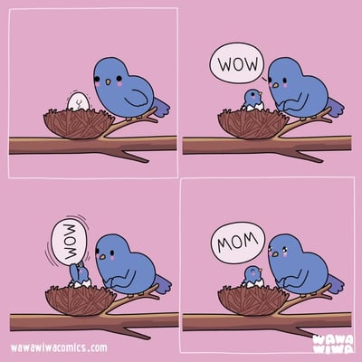 这是WAWA WIWA创作的四格治愈系连环漫画，以鸟类亲子为主题：第一格，蓝色鸟妈妈站在树枝上，满怀期待地看着鸟巢里出现裂缝的蛋；第二格，小鸟破壳而出，鸟妈妈惊喜地发出“WOW”的感叹；第三格，小鸟举着印有“WOW”字样的蛋壳，模仿妈妈的样子，模样十分俏皮；第四格，鸟妈妈眼眶泛起泪光，露出感动的神情，小鸟则对着妈妈轻声叫出“MOM”，整个画面传递出温馨满满的亲子温情，风格软萌可爱。