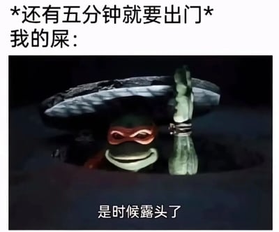 这是一张幽默梗图，上方文字写着“*还有五分钟就要出门* 我的屎：”，下方是《忍者神龟》中的角色拉斐尔从井盖下钻出的画面，底部配有文字“是时候露头了”。图片通过拟人化的手法和双关语，用忍者神龟从地下钻出的场景来幽默地表现人们在赶时间时突然需要上厕所的尴尬经历。
