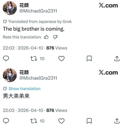 这是两张上下拼接的X平台（原Twitter）推文截图，发布者均为账号@MichaelGra2311（昵称花颜），发布时间为2026年4月10日22点02分，浏览量为876，转发量为10。上方截图显示该账号发布的日语内容由Grok翻译为英文，结果为“The big brother is coming”，附带翻译评分选项；下方截图显示同一条内容的中文翻译结果为“男大弟弟来”，两处翻译内容差异极大，存在明显的翻译错误，形成搞笑的反差效果。