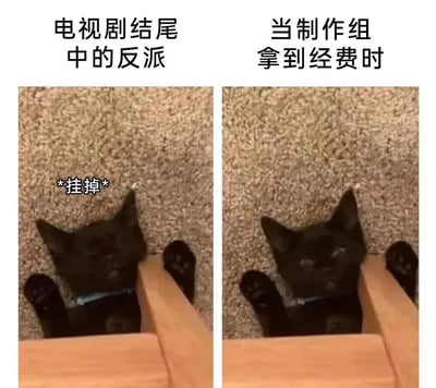 这是一张左右对比的猫咪梗图，通过同一只黑猫的不同表情来幽默表现电视剧中反派角色的两种状态。左侧图片中，黑猫无精打采地躺在地毯上，配文"电视剧结尾中的反派"和"*挂掉*"，表现反派失败后的落魄；右侧图片中，同一只黑猫表情变得夸张惊讶，配文"当制作组拿到经费时"，暗示充足经费下反派可能呈现的戏剧性状态。