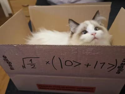 画面中一只软萌的布偶猫待在打开的瓦楞纸箱内，它有着雪白的毛发和脸部浅棕色斑块，睁着圆溜溜的眼睛仰头看向上方，神态乖巧无辜。纸箱侧面手写了一个数学式子：√(1/2)×(10> +17>)，同时纸箱的左右两侧印有英文“fragile”（易碎品）字样。这个数学式子是谐音梗：√(1/2)是二分之根号二，谐音“饿分之饿”，简化为“饿”；10>谐音“食”，17>谐音“吃”，组合起来就是“饿要食吃”，暗合猫咪可能饥饿想要进食的状态，用数学公式的形式玩了谐音趣味梗，让可爱的猫咪照片更添趣味性。