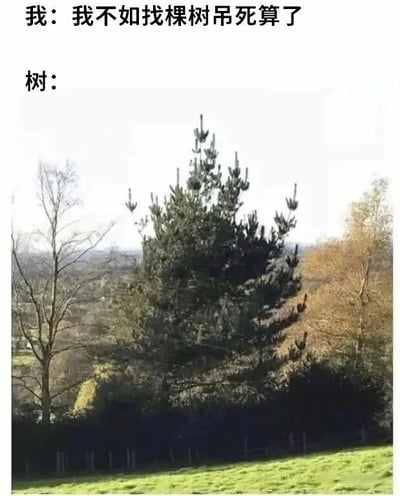 这张梗图展示了一个幽默场景：当一个人说‘我不如找棵树吊死算了’时，旁边的树的形状看起来像是在拒绝（树枝向上伸展，仿佛摆手），形成了有趣的反差，表达了自嘲和无奈的情绪，同时带有搞笑效果。
