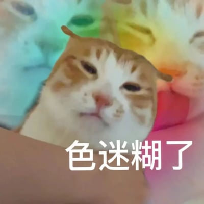 图片主体是一只橘白相间的猫咪特写，它眯着眼睛，嘴巴微张，表情呈现出迷离又满足的状态，仿佛被什么事物迷得晕头转向。猫咪的头部被一只手轻轻托着，背景是模糊的彩色渐变，突出猫咪的可爱神态。图片底部有白色文字“色迷糊了”，与猫咪的表情形成有趣呼应，整体营造出一种搞笑又可爱的氛围。