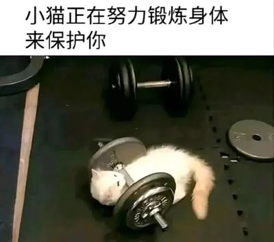 图片上方配有文字“小猫正在努力锻炼身体来保护你”，下方是一只白色猫咪趴在小型哑铃上的场景，周围散落着更大的哑铃和杠铃片，营造出猫咪在健身房努力锻炼的可爱画面。整体风格温馨搞笑，通过猫咪与健身器材的反差萌，传递出萌宠守护主人的暖心主题。