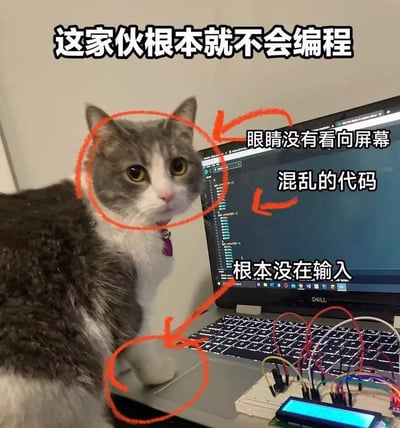 这是一张程序员圈层流行的搞笑梗图，画面主体是一只灰白相间的宠物猫站在打开的戴尔笔记本电脑旁，电脑屏幕显示着编程代码界面，键盘旁摆放着电子开发用的面包板、跳线、显示屏等硬件。图中用红色手绘圆圈和箭头分别标注了猫咪的头部、猫咪放在触控板上的爪子、屏幕上的代码区域，搭配对应文字调侃猫咪根本不会编程，列出来的“证据”包括眼睛不看屏幕、代码混乱、没有在输入操作，整体风格轻松搞笑，有很强的自嘲和吐槽属性。