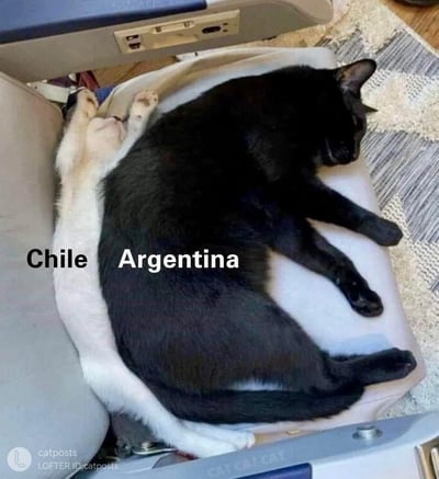 两只猫咪在椅子上熟睡，左侧白色猫咪身体细长被标注为“Chile”（智利），右侧黑色猫咪体型宽厚被标注为“Argentina”（阿根廷）。通过猫咪的体型差异和睡姿，幽默类比智利狭长、阿根廷宽阔的地理形状，形成趣味地理梗图。