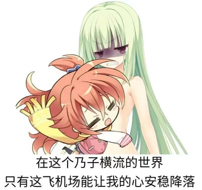 这是一张二次创作的二次元搞笑梗图，画面中是美少女游戏《千恋*万花》里的两个角色：绿发的丛雨上半身裸露，脸上带着黑线，表情无奈；红发的常陆茉子（平胸）抱着丛雨，表情满足惬意。图片下方配文：“在这个乃子横流的世界
只有这飞机场能让我的心安稳降落”。
梗点说明：“乃子”是“奶子”的谐音，“飞机场”是网络上对平胸的调侃称呼，用航空领域的“降落”“飞机场”概念玩谐音梗，制造出在大胸随处可见的环境里，偏爱平胸的反差搞笑效果。