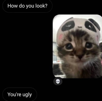 这是一张模拟聊天界面的拼贴梗图，上方对话框写着英文“How do you look?”（你看起来怎么样？），右侧是一只戴着熊猫造型头套的真实猫咪，猫咪睁着圆溜溜的大眼睛，表情委屈又无辜；下方对话框用直白的英文“You're ugly”（你好丑）回复，还附带一个骷髅头小表情。可爱猫咪的委屈神态和扎心吐槽形成强烈反差，制造出搞笑又有点心疼的趣味效果，适合用来玩互怼或自嘲的互动。