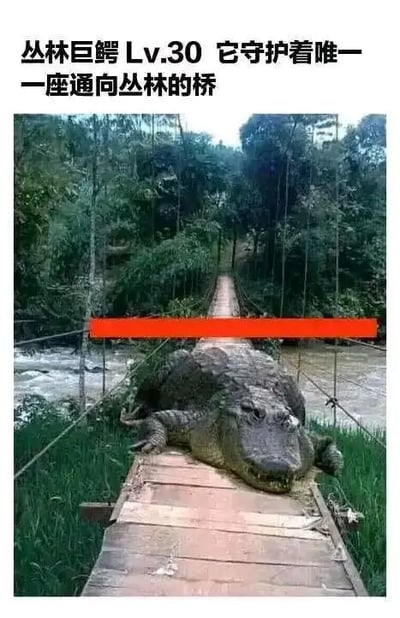 这是一张经过P图改编的静态图，画面主体是一条体型巨大的鳄鱼趴在一座架在河流上方的木质吊桥桥面上，完全挡住了桥面的通行道路，背景是茂密的丛林和下方流动的河流。图片上方配有文字“丛林巨鳄Lv.30 它守护着唯一一座通向丛林的桥”，将这只鳄鱼设定为类似游戏里的守关怪物，赋予了场景游戏化的趣味设定，营造出一种想要进入丛林就必须通过这只巨鳄关卡的氛围，整体风格搞笑有趣，充满创意，通过夸张的画面和游戏化的文字设定制造出诙谐的效果。