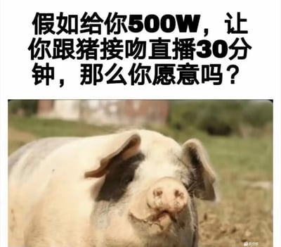 这张梗图上部是加粗大字标题，内容为“假如给你500W，让你跟猪接吻直播30分钟，那么你愿意吗？”，下方配以一只憨态可掬的大猪照片，这类问题常引发网友围绕金钱与道德、底线等展开自嘲与讨论。属于典型的“钱和尴尬底线换算题”梗，表达网友对现实中金钱诱惑的调侃和思考。

本图未涉及明显双关或谐音梗，但带有轻松自嘲和搞怪氛围。