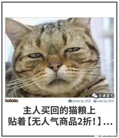 暂无描述