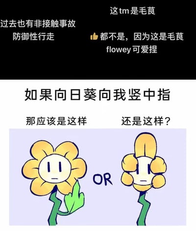 这是一张上下拼接的搞笑梗图，上方是网友的玩梗评论区内容，围绕游戏《Undertale》中的角色Flowey展开玩梗，提到“这tm是毛茛”“flowey可爱捏”；下方是一个无厘头脑洞提问：“如果向日葵向我竖中指，那应该是这样还是这样？”，并画出两种拟人化的竖中指向日葵：一种是伸出一片叶子模仿竖中指的动作，另一种是将花瓣摆成竖中指的形状，整体风格轻松搞笑，充满脑洞。