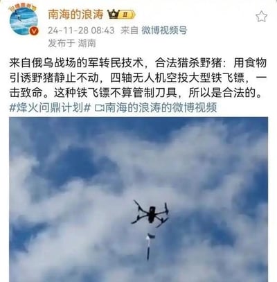 这是一条微博用户发布的图文内容，上方文字介绍了一种源自俄乌战场的军转民捕猎技术：通过食物引诱野猪保持静止，再使用四轴无人机空投大型铁飞镖，实现对野猪的一击致命，同时说明该铁飞镖不属于管制刀具，因此这种捕猎方式是合法的。下方配图为实拍的四轴无人机在蓝天白云的背景下，正在空投铁镖的场景，直观展示了这项技术的操作过程。