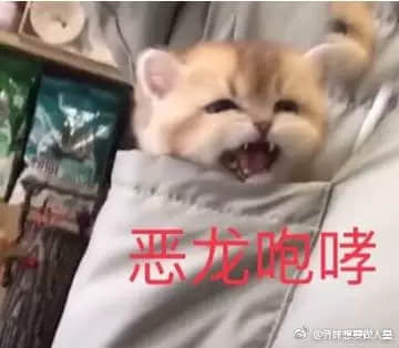 小奶猫恶龙咆哮