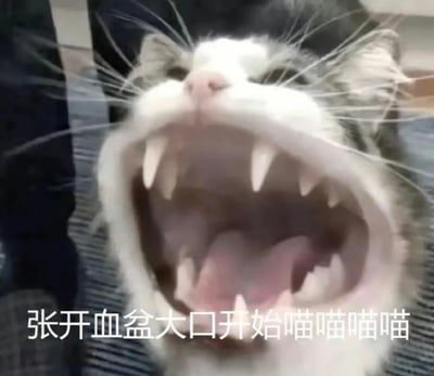 一张近距离拍摄的猫咪特写照片，猫咪张大嘴巴露出尖锐的牙齿，表情看起来既凶猛又有点滑稽。图片下方配有文字“张开血盆大口开始喵喵喵喵”，形成一种反差萌的搞笑效果。猫咪的胡须清晰可见，鼻子呈粉红色，整体画面聚焦于猫咪夸张的表情。