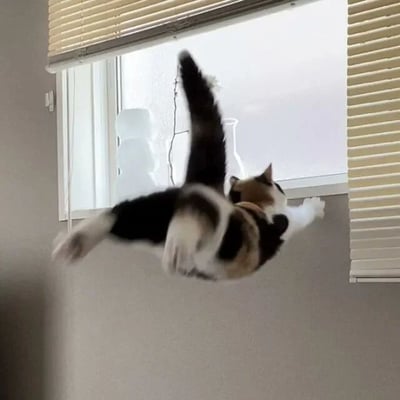 一只三色猫咪（黑、白、橘毛色）正处于奋力跳跃的动态瞬间，身体在空中舒展，前爪努力伸向窗台，尾巴高高翘起保持平衡。背景是带有部分拉起百叶窗的窗户，窗外光线明亮，窗台上隐约可见一些装饰物。整个画面捕捉到了猫咪跳跃时的力量感与专注神情，充满了生动的生活气息。