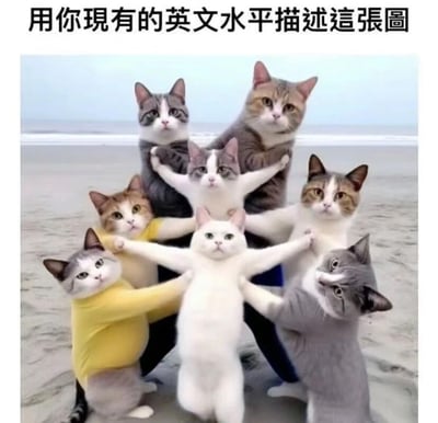 图片展示了七只猫咪在沙滩背景下，以拟人化的姿势相互环抱成圆形站立。猫咪们表情各异但整体显得平静，部分猫咪穿着黄色等颜色的衣物。图片顶部有一行中文文字：“用你現有的英文水平描述這張圖”，旨在引导观看者用自己的英文能力来描述此画面。背景中可见沙滩和远处的海平面，整体氛围轻松有趣。