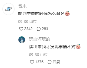 这是一张竖屏手机格式的社交媒体评论区截图，展示了两条来自山东用户的互动评论。用户“音米”于09-30发布评论“轮到宁夏的时候怎么命名🥺”，该评论收获2342个点赞和283条评论；用户“玩血河玩的”同日回复“读出来我才发现事情不对🥵”，这条回复获得1376个点赞。二者互动的核心是利用“宁夏”的谐音梗，将“宁夏”读为“您下”会产生带有暧昧暗示的歧义，这也是回复中“事情不对”的原因，通过谐音制造出趣味效果。