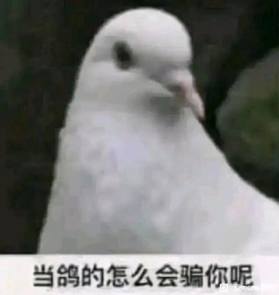 暂无描述