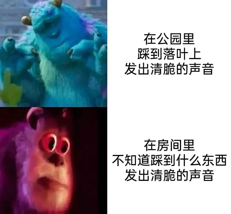 萨利·莱文