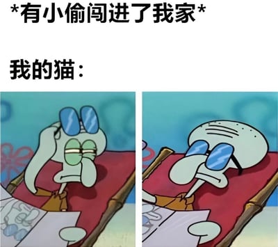这是一张左右对比的梗图，上方文字写着“*有小偷闯进了我家*”，中间文字为“我的猫：”。左侧画面是章鱼哥摘下墨镜，表情严肃地看着前方；右侧画面是章鱼哥重新戴上墨镜，表情恢复不屑和淡定。通过章鱼哥前后反差的表情，幽默地表现了猫咪面对家中进小偷时可能毫不在意的反应。