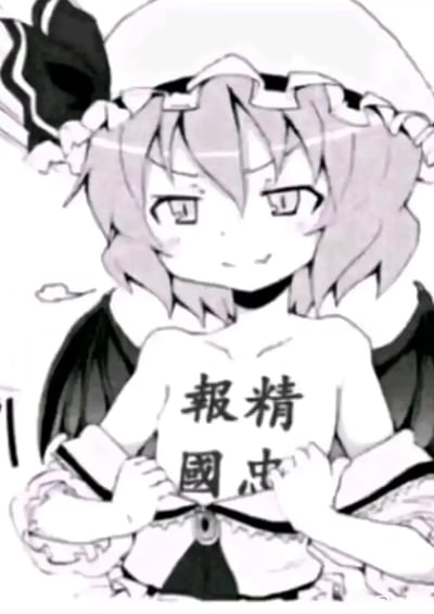 这是一张二次创作的ACG梗图，取材自《东方Project》的角色蕾米莉亚·斯卡蕾特。图中角色拉开上衣，露出胸口写着的「精忠报国」四个汉字，表情带着一丝得意，将经典爱国标语与二次元萌系角色结合，通过强烈的反差感制造搞笑效果，无特殊双关或谐音梗，纯靠场景和文字的反差实现玩梗。