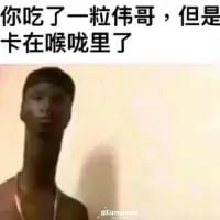 图中展示了一个被P成长脖子的黑人，上方配有文字“你吃了一粒伟哥，但是卡在喉咙里了”。创作者用长脖子的夸张视觉效果，调侃伟哥卡在喉咙里后产生的荒诞“效果”，将文字描述的尴尬意外与画面的视觉冲击结合，制造出荒诞搞笑的笑点。
该梗图利用视觉错位的画面，暗示伟哥卡在喉咙里后引发的夸张生理反应，用画面强化文字的恶搞意味。
