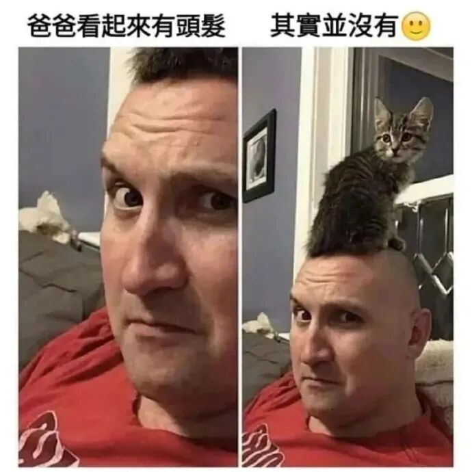 爸爸