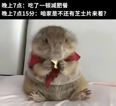 图片上方有两行文字，分别为“晚上7点：吃了一顿减肥餐”和“晚上7点15分：咱家是不还有芝士片来着？”，下方是一只土拨鼠，它穿着红色的蝴蝶结，正双手捧着疑似芝士片的东西坐着，表情看起来有些渴望。整体通过时间线和动物的可爱形象，幽默地展现了人们在吃完减肥餐后不久就抵挡不住美食诱惑的真实场景，充满生活气息和趣味性。