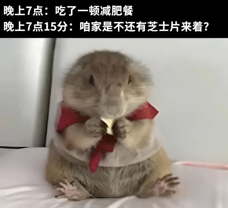 土拨鼠