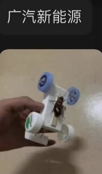 这是一张网络恶搞梗图，采用顶部配文下方配图的形式，顶部黑色区域标注有白色文字“广汽新能源”，下方画面中一只蟑螂被固定在简易的白色塑料四轮小车上，似乎将蟑螂作为小车的动力来源，还有一只人手正握持着这个小车，用这种夸张的生物动力设定调侃广汽新能源的相关产品，充满搞笑玩梗的意味。